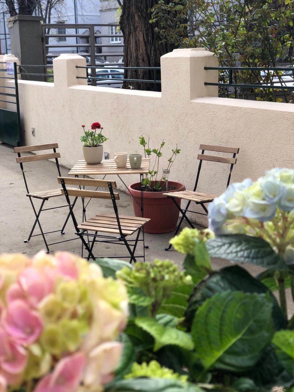 Cabbage Hostel Beograd Ngoại thất bức ảnh