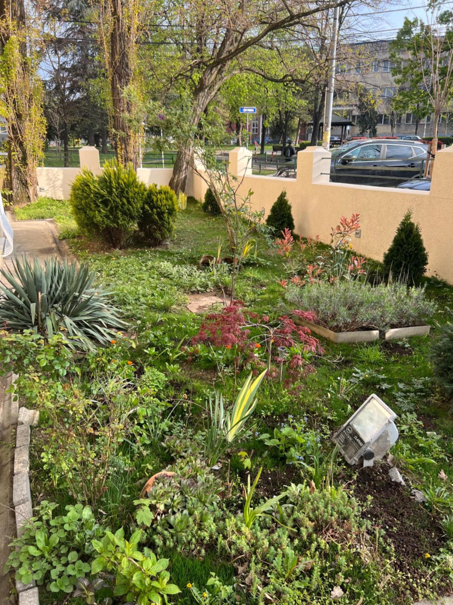 Cabbage Hostel Beograd Ngoại thất bức ảnh