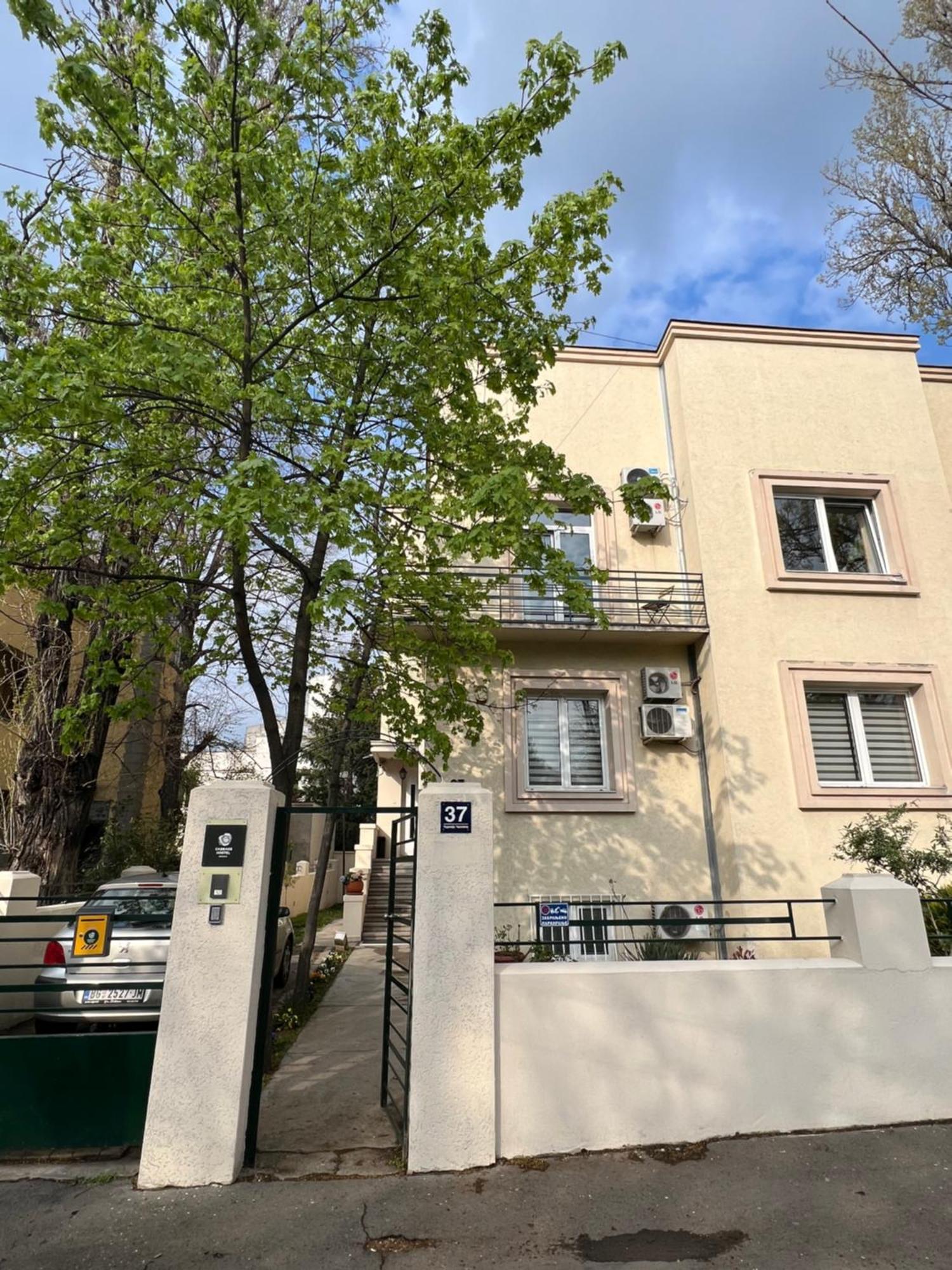 Cabbage Hostel Beograd Ngoại thất bức ảnh